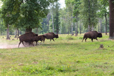 Similar image 773357