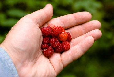 Similar image 773433