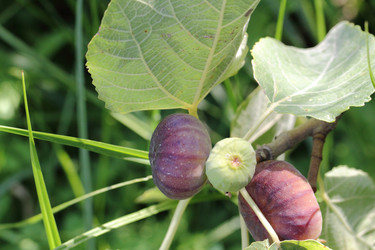 Similar image 773444