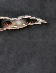 Similar image 773495