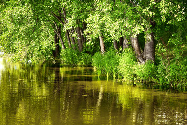 Similar image 773498