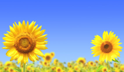 Similar image 773500