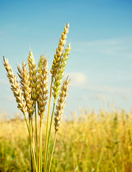 Similar image 773508