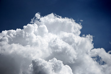 Similar image 773509