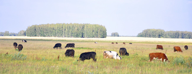 Similar image 773511