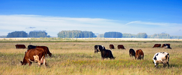 Similar image 773512