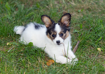 Similar image 773528