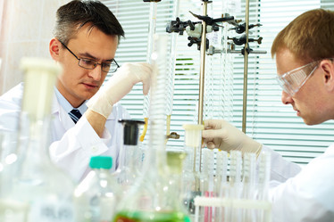 Similar image 773550