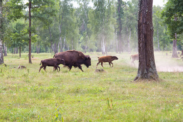 Similar image 773555