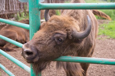 Similar image 773558