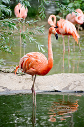 Similar image 773573