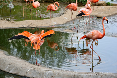 Similar image 773574