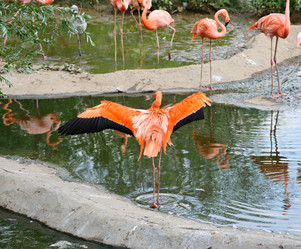 Similar image 773575