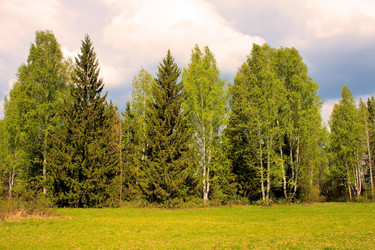 Similar image 773579