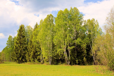 Similar image 773580