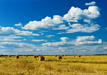 Similar image 773586