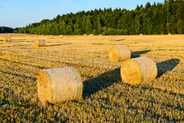 Similar image 773588