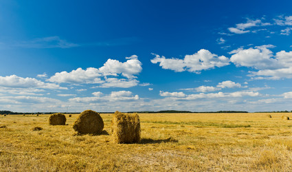 Similar image 773589