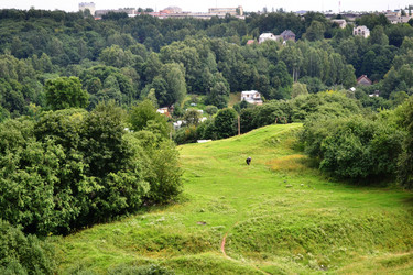 Similar image 773592