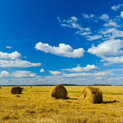 Similar image 773595