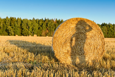 Similar image 773596