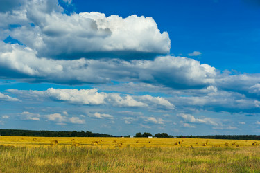 Similar image 773597