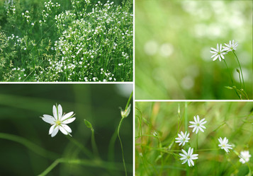 Similar image 773600