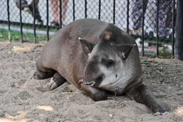 Similar image 773602