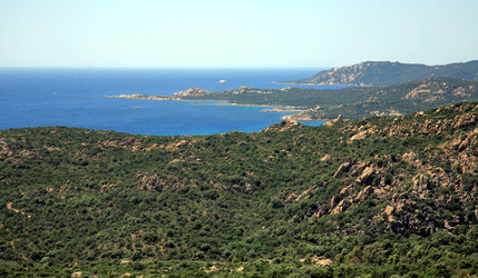 Similar image 773617