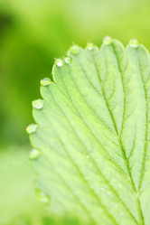 Similar image 773627