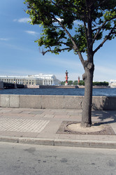 Similar image 773632