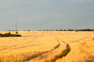 Similar image 773783