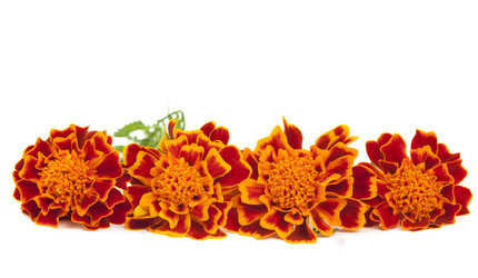 Similar image 773784