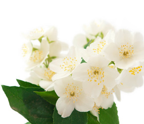 Similar image 773789