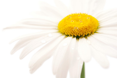 Similar image 773790