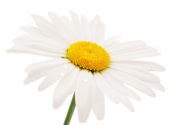 Similar image 773792