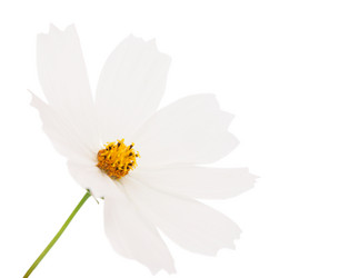 Similar image 773793