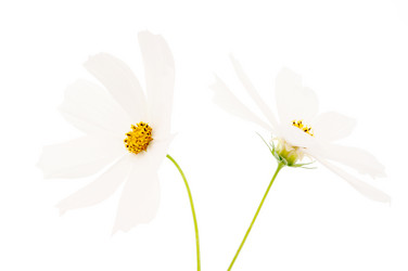 Similar image 773795