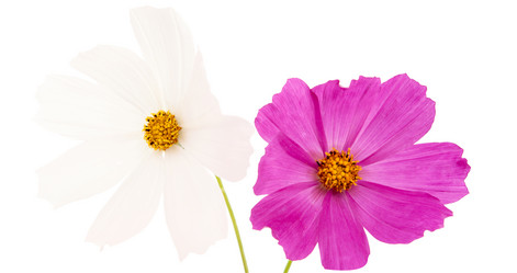 Similar image 773801