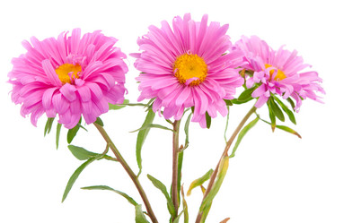 Similar image 773803