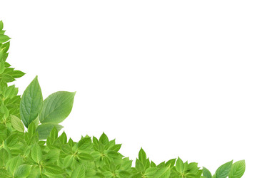 Similar image 773804