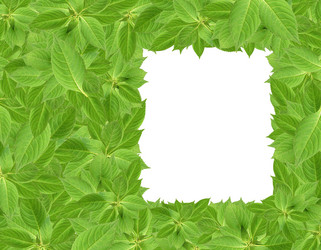 Similar image 773806