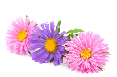 Similar image 773809