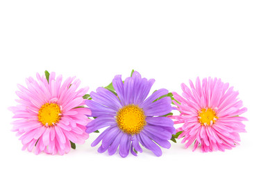 Similar image 773812