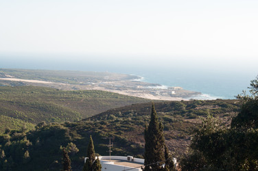 Similar image 773841