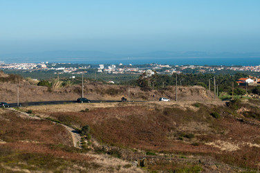 Similar image 773857