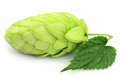 Similar image 773858