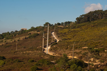 Similar image 773859