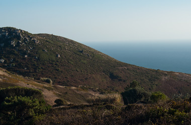 Similar image 773860