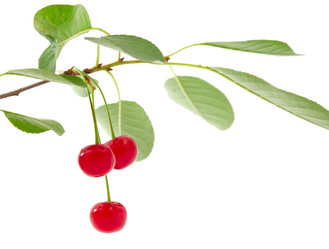 Similar image 773885